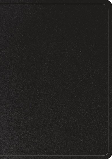 bokomslag ESV Large Print Wide Margin Bible