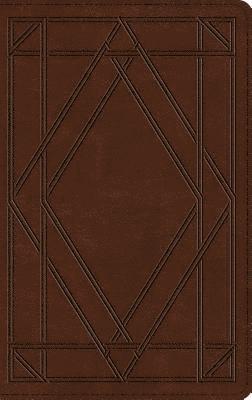bokomslag ESV Thinline Bible