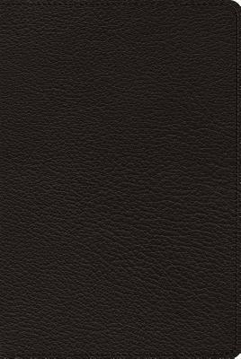 ESV Omega Thinline Reference Bible 1