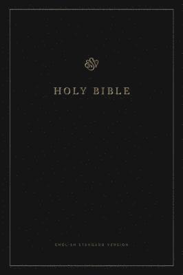 bokomslag ESV Large Print Bible