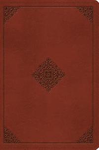 bokomslag ESV Large Print Bible