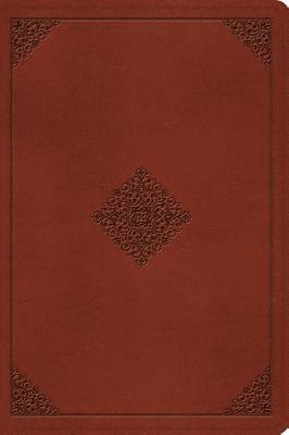 bokomslag ESV Large Print Bible