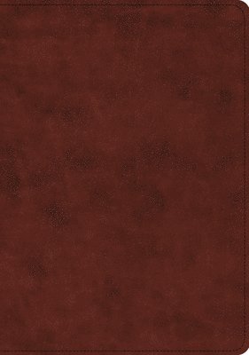 ESV Study Bible 1