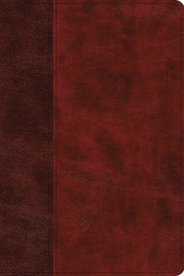 ESV Gospel Transformation Study Bible: 1