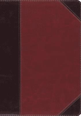 bokomslag ESV MacArthur Study Bible, Large Print