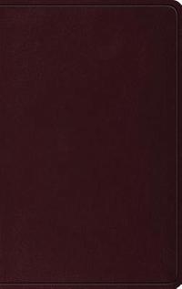 bokomslag ESV Thinline Bible