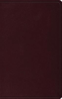 bokomslag ESV Thinline Bible