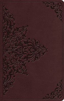 bokomslag ESV Value Thinline Bible