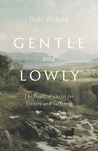 bokomslag Gentle and Lowly