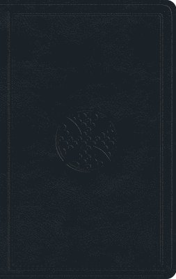 ESV Large Print Value Thinline Bible