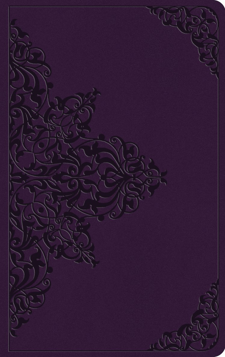 Esv Bibles - ESV Large Print Value Thinline Bible, Inbunden