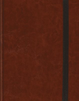 ESV Single Column Journaling Bible 1