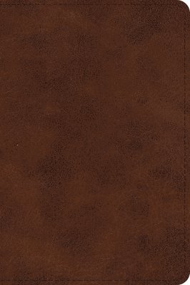 ESV Large Print Bible