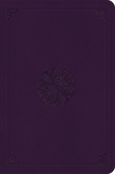 bokomslag ESV Large Print Bible
