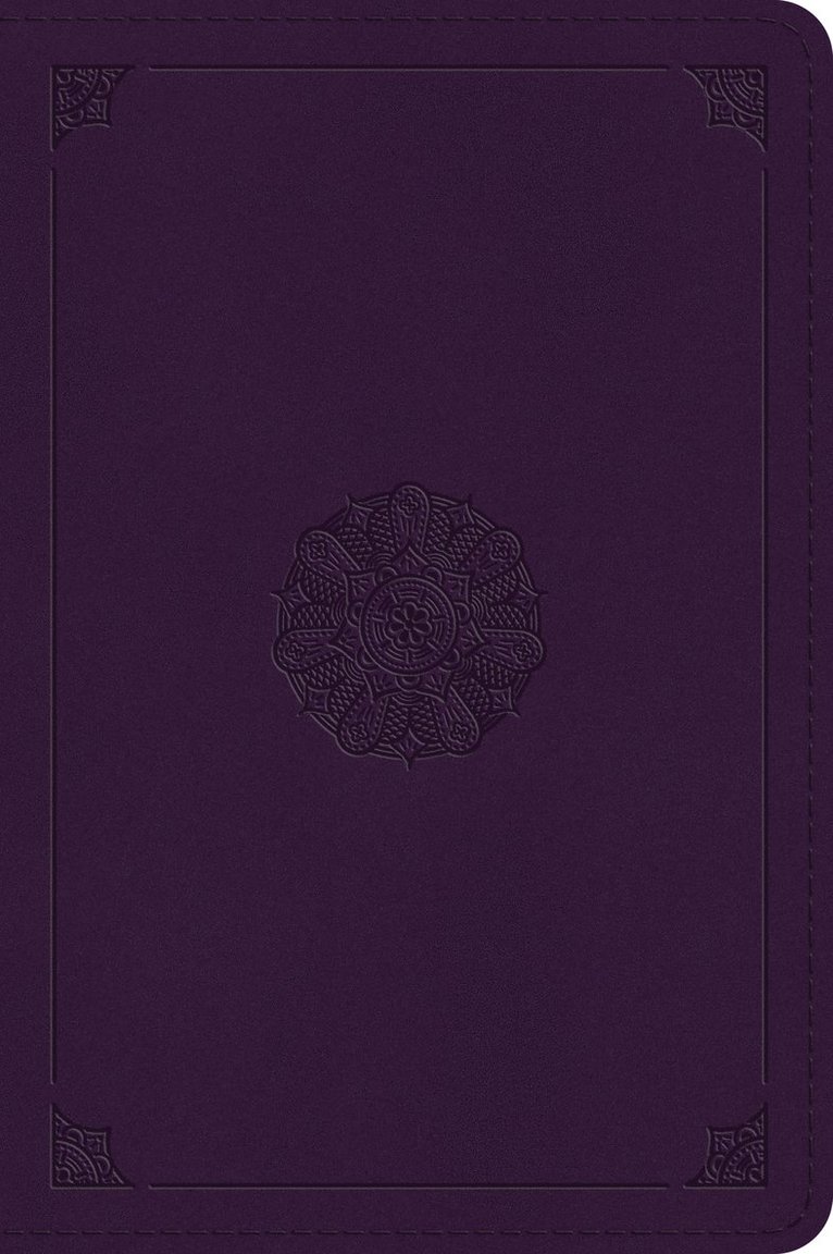ESV Large Print Bible