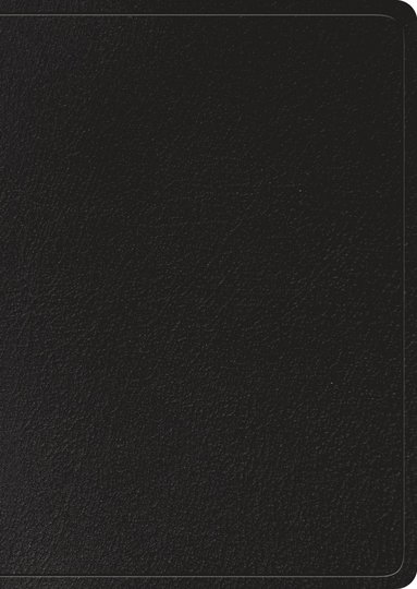bokomslag ESV Study Bible, Large Print, Thumb Indexed