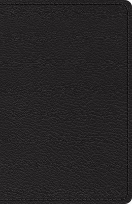 bokomslag ESV Heirloom Single Column Legacy Bible