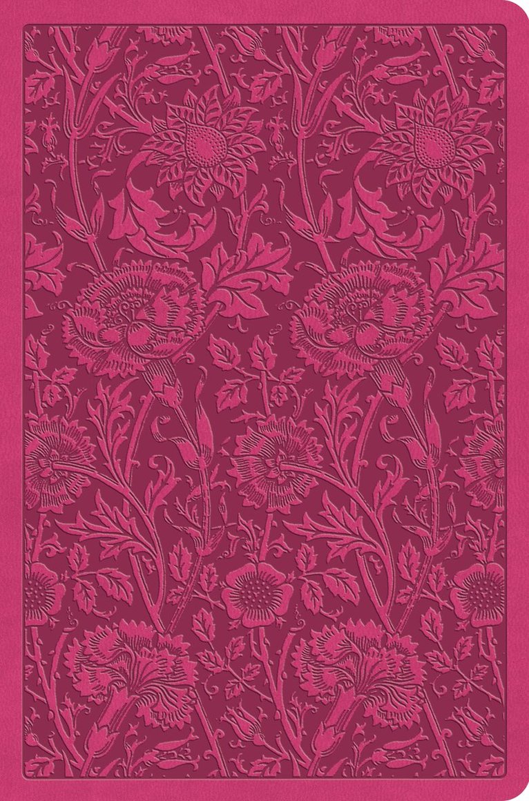ESV Value Compact Bible, Inbunden