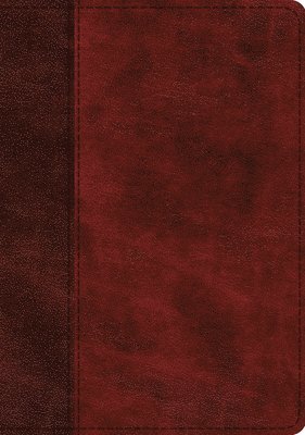 ESV Single Column Journaling Bible, Large Print