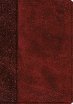 ESV Single Column Journaling Bible, Large Print 1