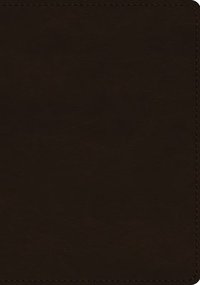 bokomslag ESV Single Column Journaling Bible, Large Print