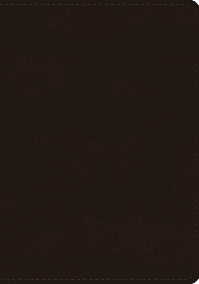 ESV Single Column Journaling Bible, Large Print