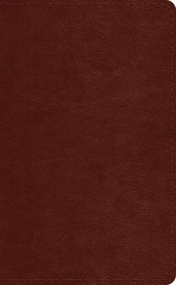 bokomslag ESV Pocket Bible
