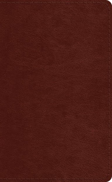 bokomslag ESV Pocket Bible