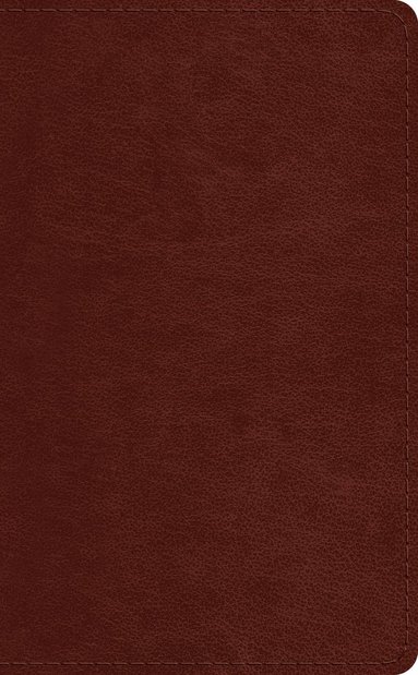 bokomslag ESV Pocket Bible