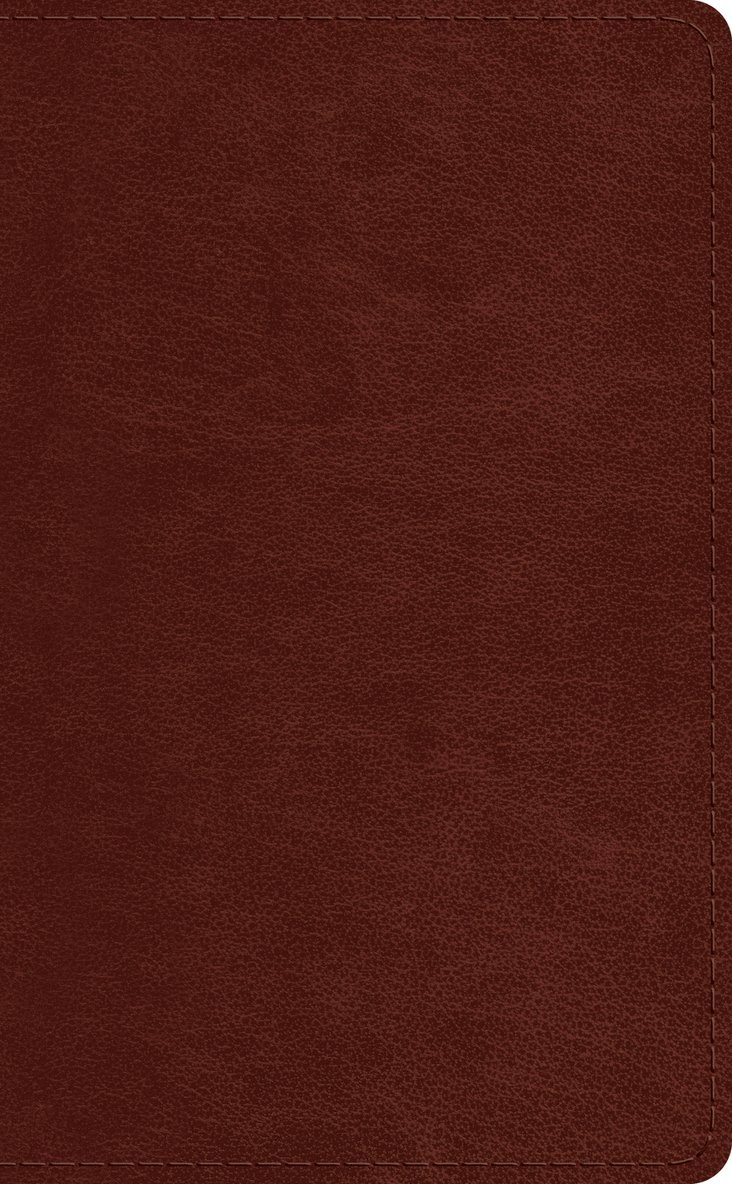 ESV Pocket Bible 1
