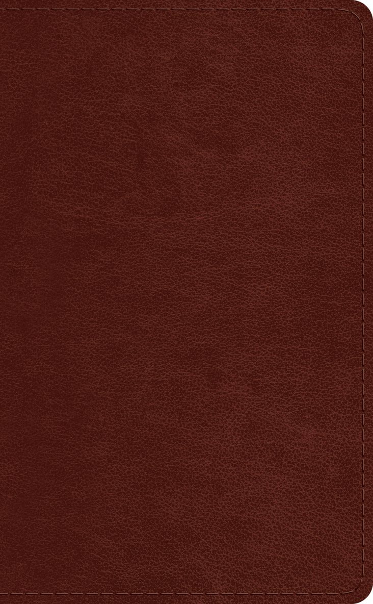 ESV Pocket Bible 1