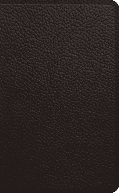 bokomslag ESV Pocket Bible