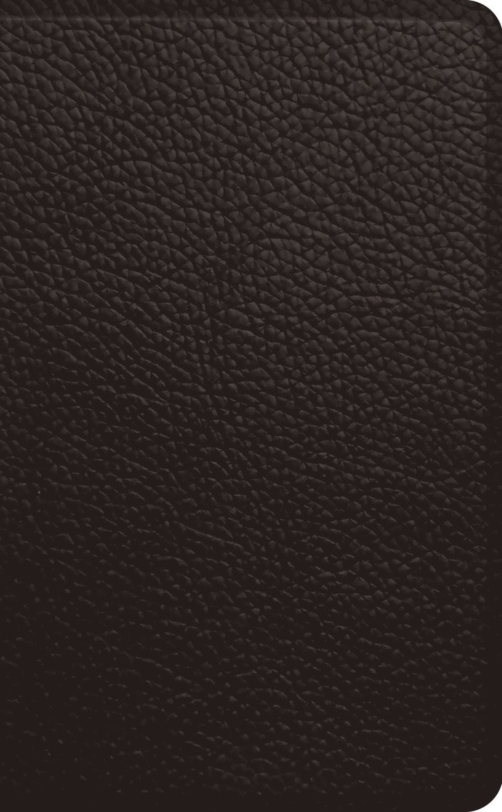 ESV Pocket Bible 1