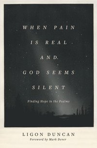 bokomslag When Pain Is Real and God Seems Silent