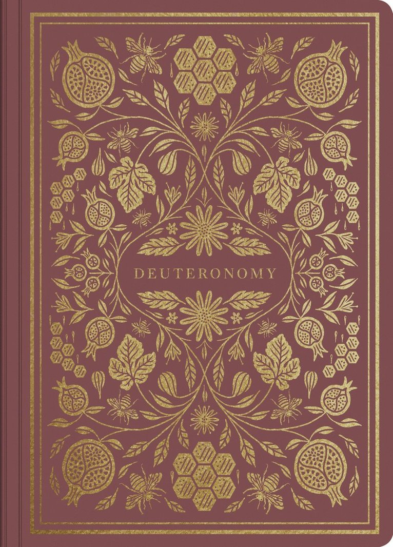 ESV Illuminated Scripture Journal