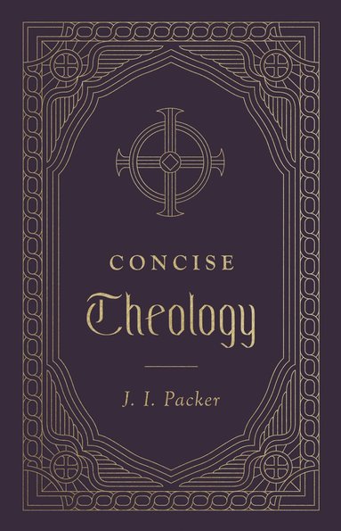 bokomslag Concise Theology