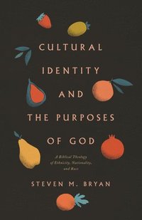bokomslag Cultural Identity and the Purposes of God