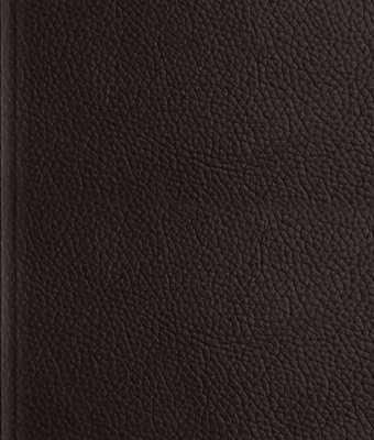 bokomslag ESV Journaling Bible