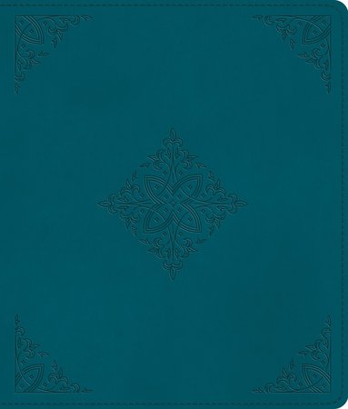 bokomslag ESV Journaling Bible