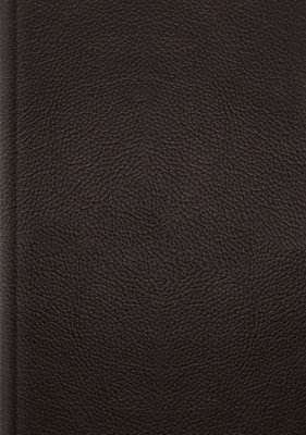 bokomslag ESV Single Column Journaling Bible, Large Print