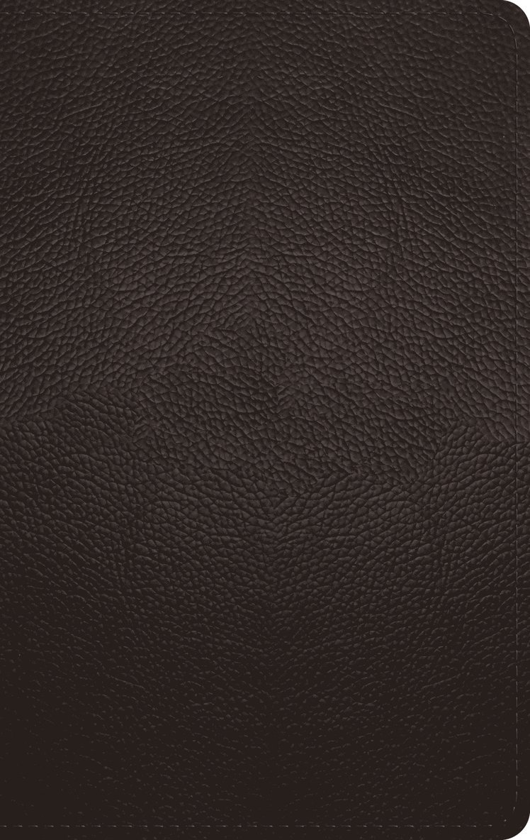 ESV Large Print Personal Size Bible, Red Letter