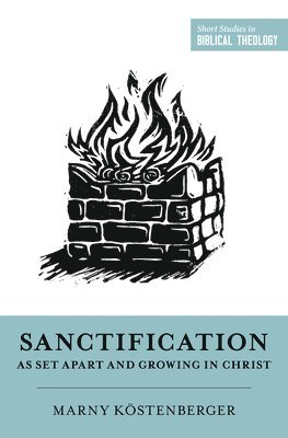 bokomslag Sanctification as Set Apart and Growing in Christ