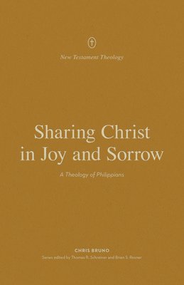 bokomslag Sharing Christ in Joy and Sorrow