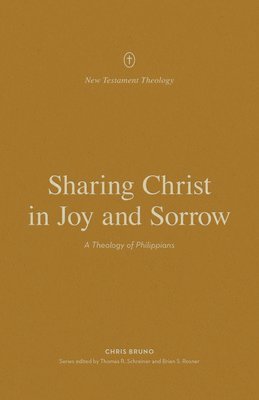 bokomslag Sharing Christ in Joy and Sorrow