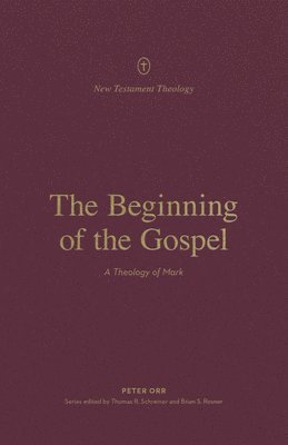 bokomslag The Beginning of the Gospel