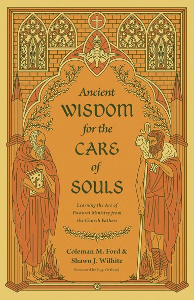 bokomslag Ancient Wisdom for the Care of Souls