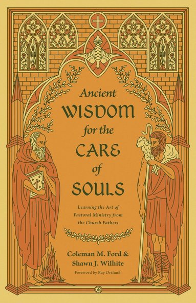 bokomslag Ancient Wisdom for the Care of Souls