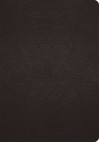 bokomslag ESV Study Bible