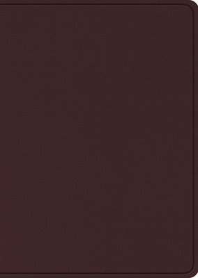 bokomslag ESV Study Bible, Large Print