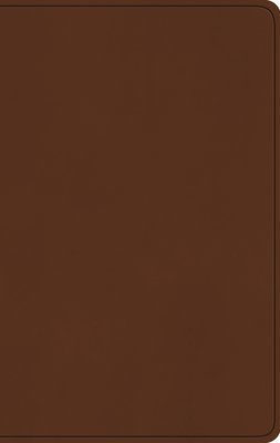 ESV Large Print Value Thinline Bible